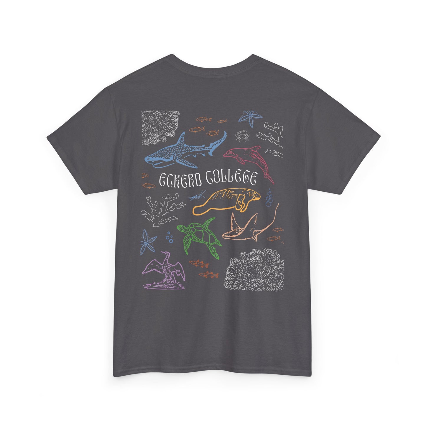 Colourful Eckerd Marine Shirt