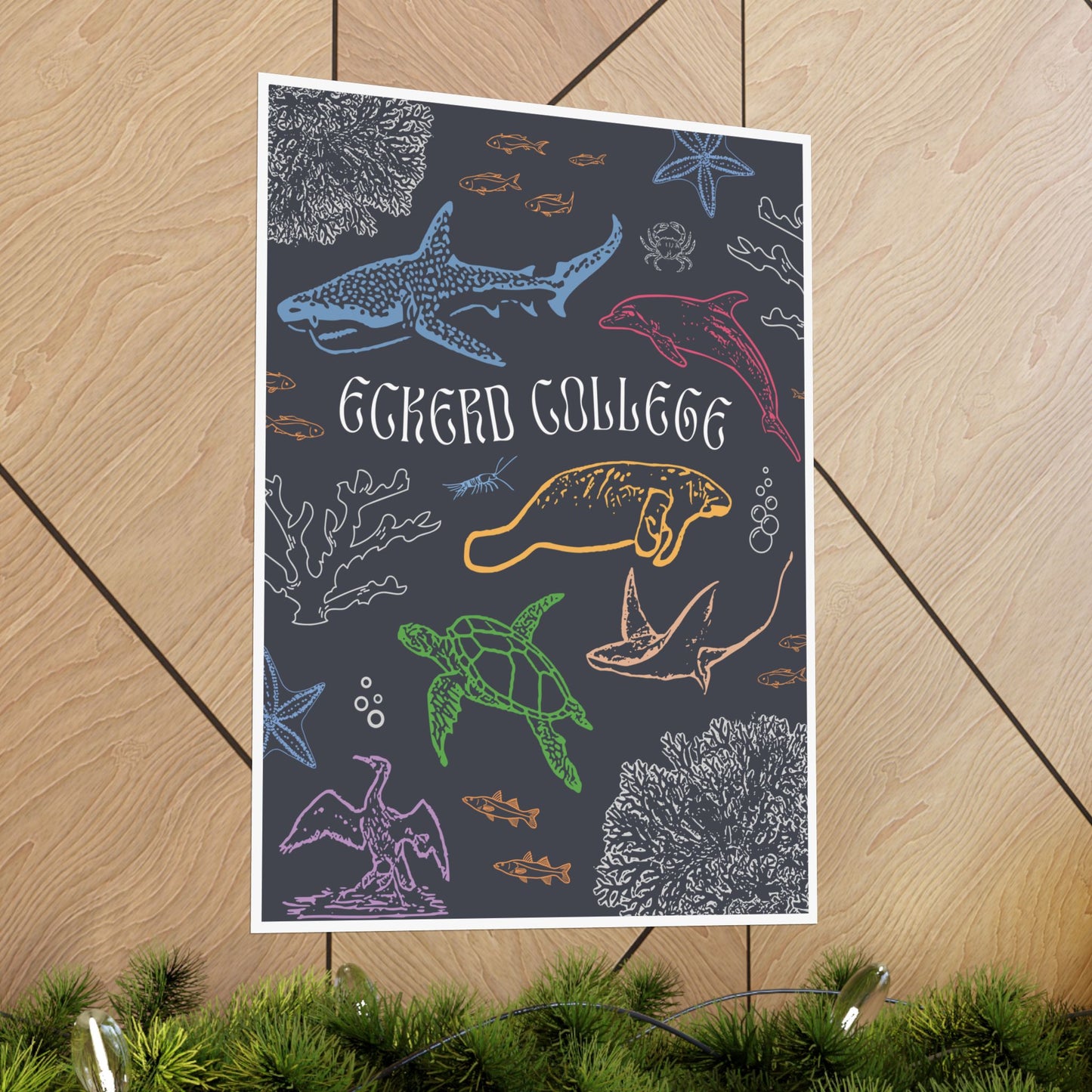 Colorful Eckerd Marine Poster