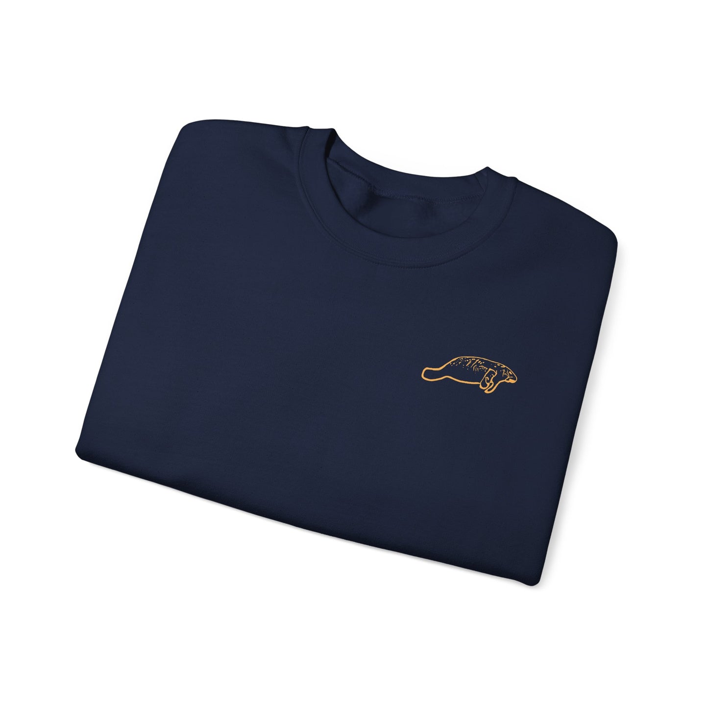 Colourful Eckerd Marine Crewneck