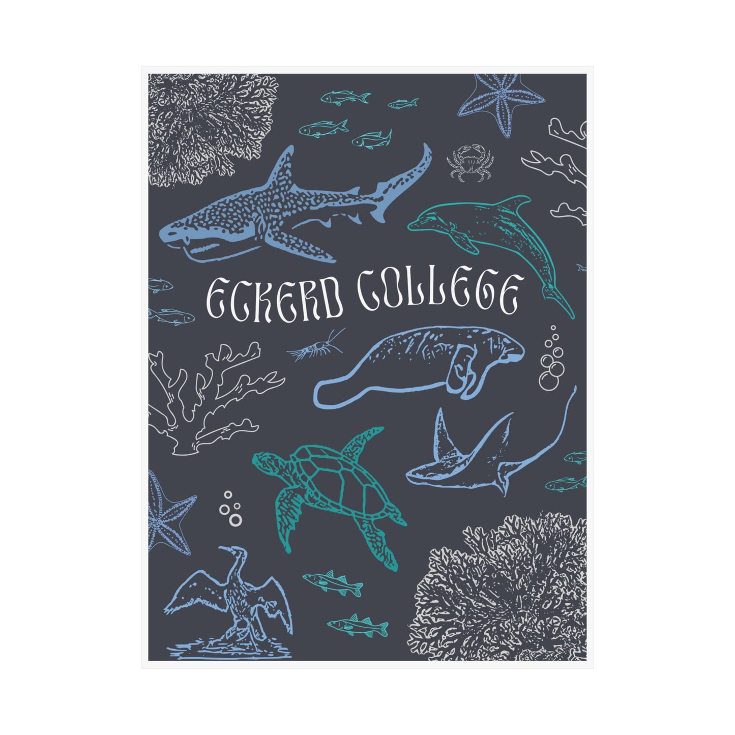 Eckerd Marine Blue Poster