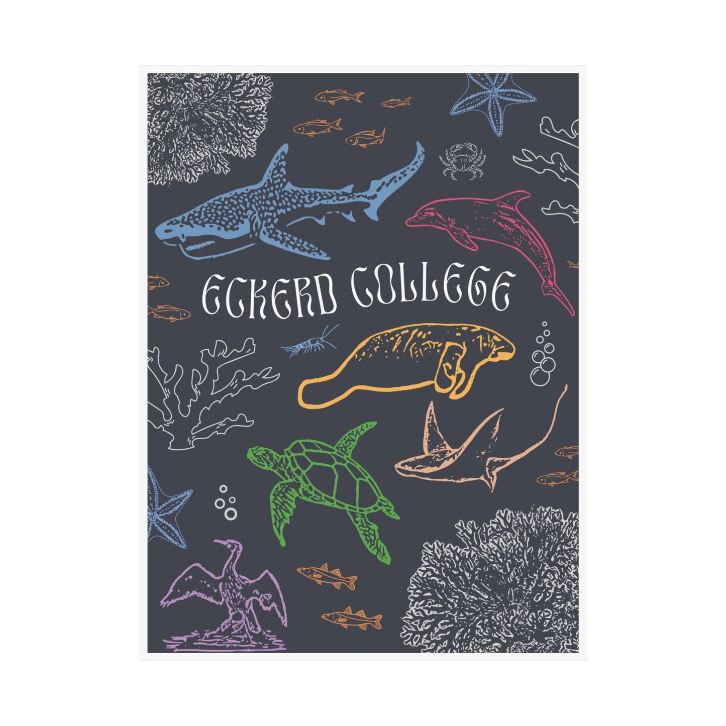 Colorful Eckerd Marine Poster