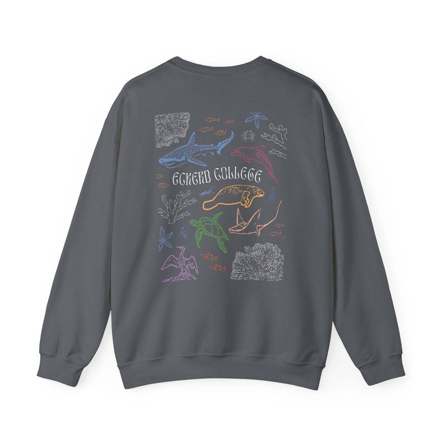Colourful Eckerd Marine Crewneck