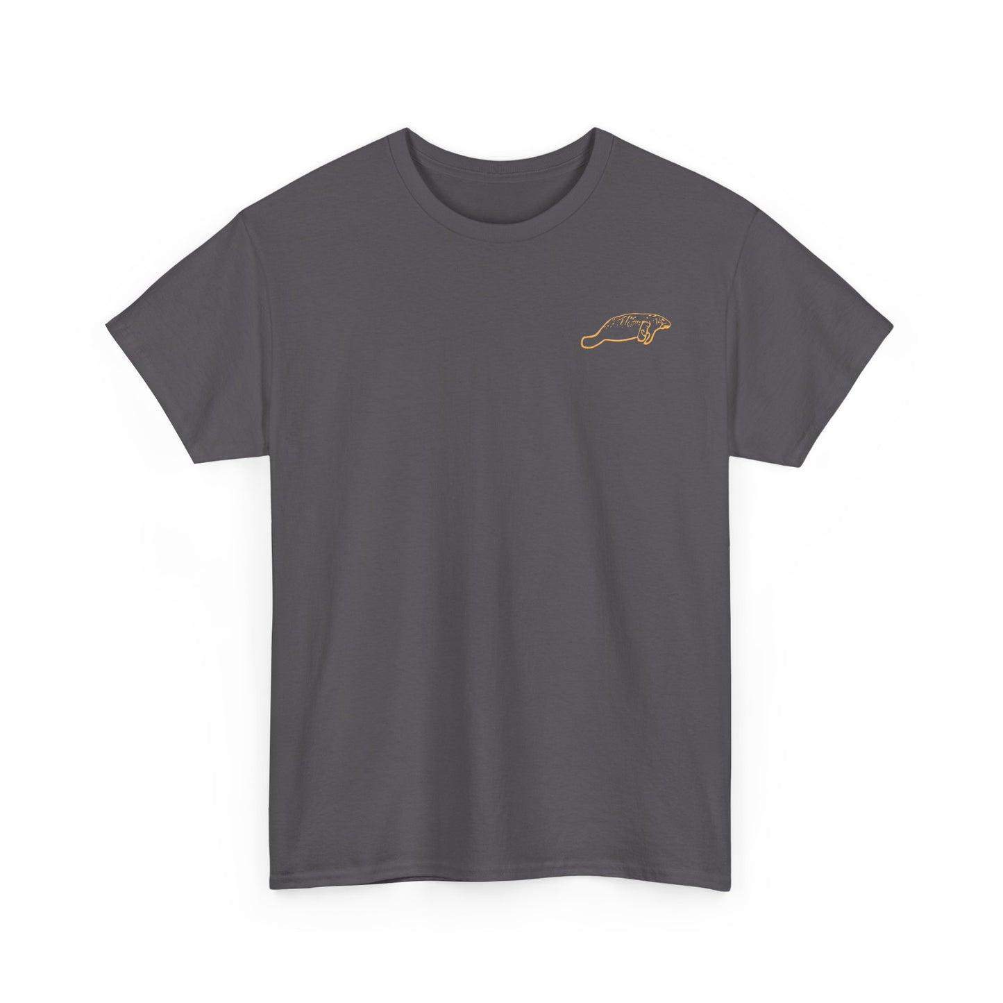 Colourful Eckerd Marine Shirt