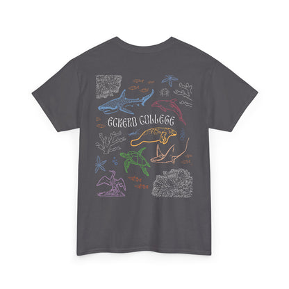 Colourful Eckerd Marine Shirt