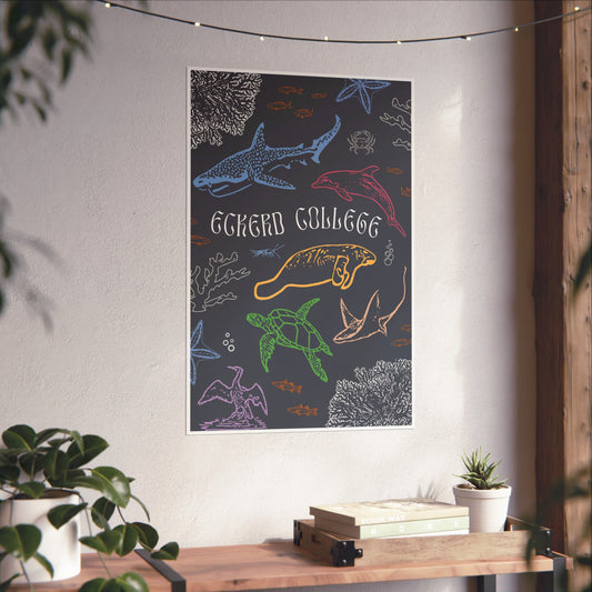 Colorful Eckerd Marine Poster