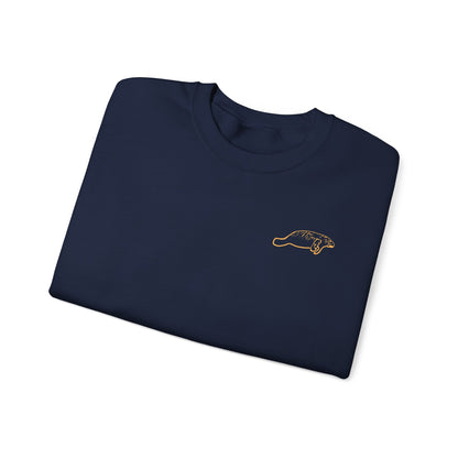 Colourful Eckerd Marine Crewneck
