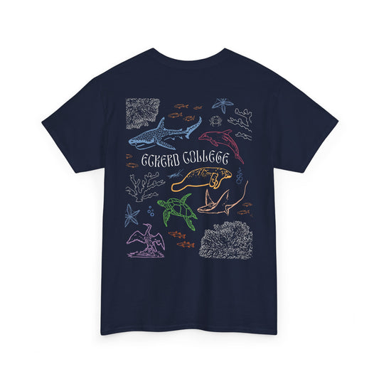 Colourful Eckerd Marine Shirt