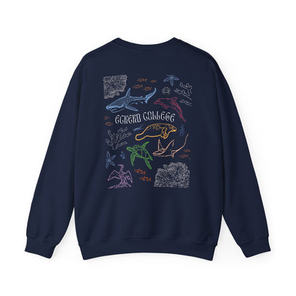 Colourful Eckerd Marine Crewneck